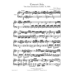 Concert Aria (K. 382h)