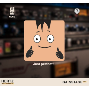 Hertz GainStage Pro