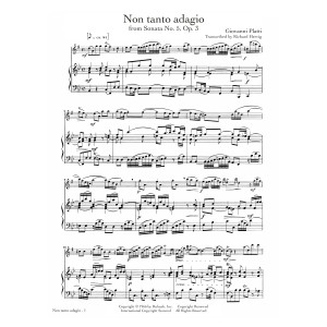 Non tanto adagio