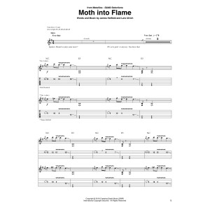 Moth Into Flame