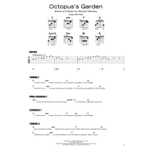 Octopus's Garden