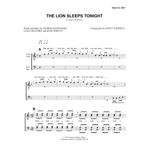The Lion Sleeps Tonight (arr. Scott Turnbull)