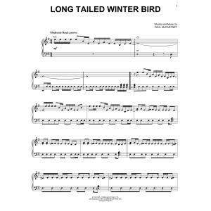 Long Tailed Winter Bird