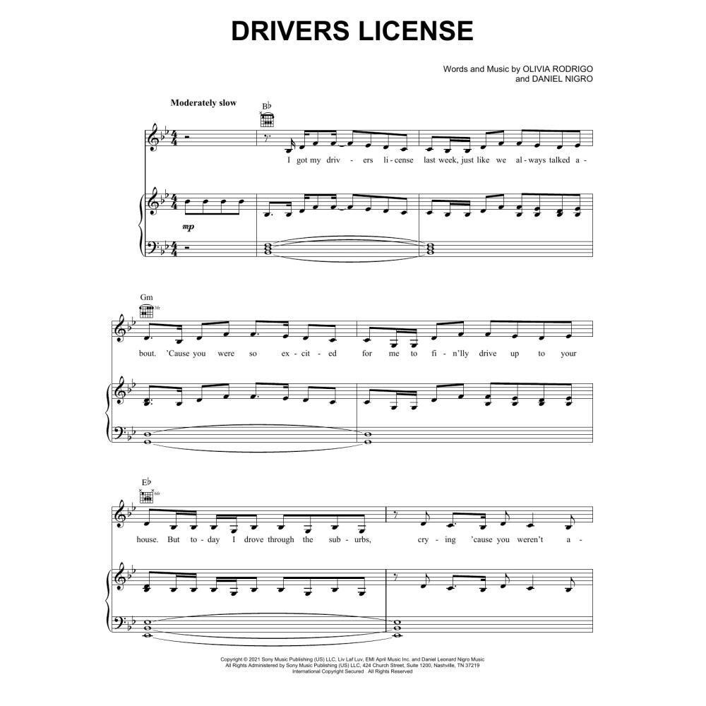 drivers license