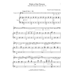 Waltz Of The Flowers, Op. 71a (from The Nutcracker)