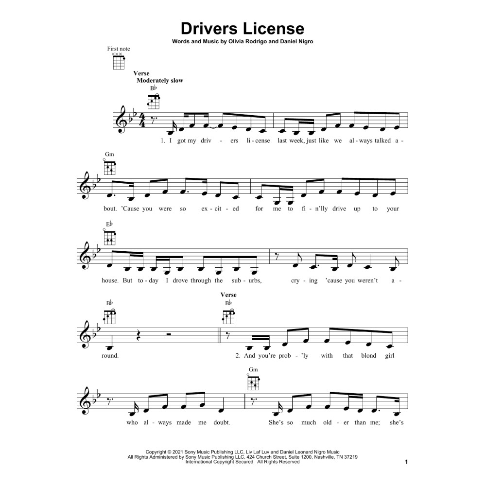 drivers license