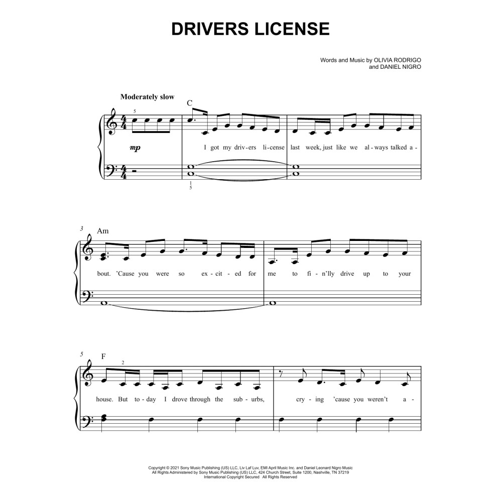 drivers license