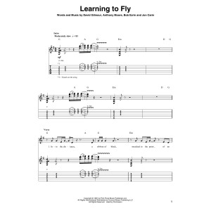Learning To Fly