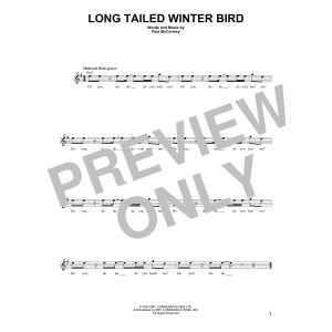Long Tailed Winter Bird