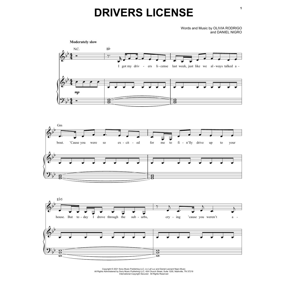 drivers license