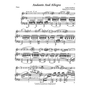 Andante & Allegro