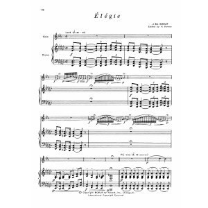 Elegie