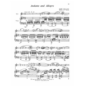 Andante & Allegro