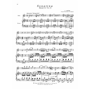 Sonatina (Trio V)