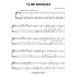Tu Me Manques