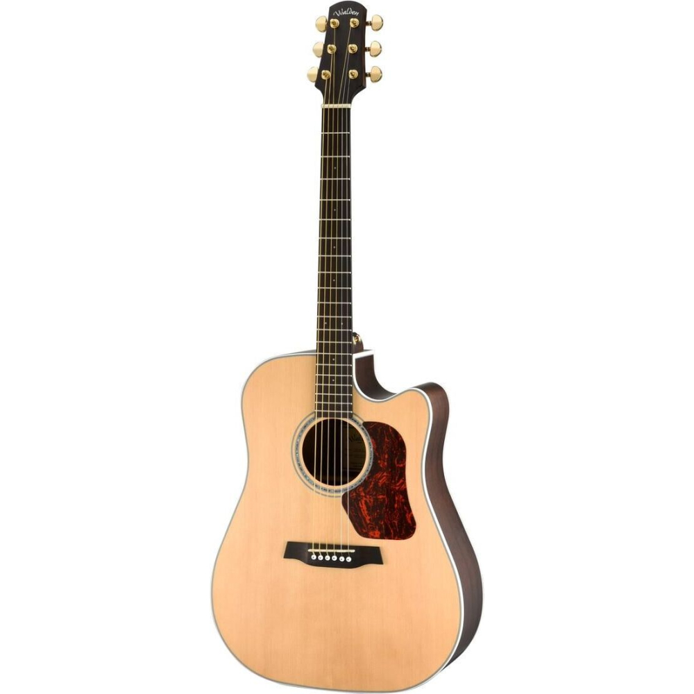 Walden Guitare Dreadnought D603cew