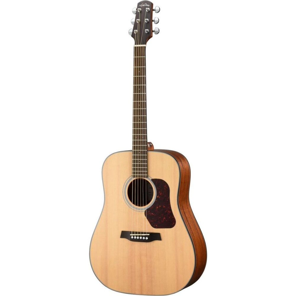 Walden Guitare Dreadnought D550ew
