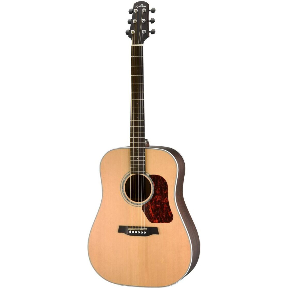 Walden Guitare Dreadnought D803ew