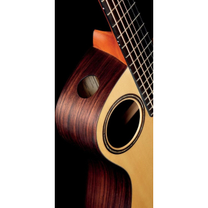 Walden Guitare Baryton B103eh