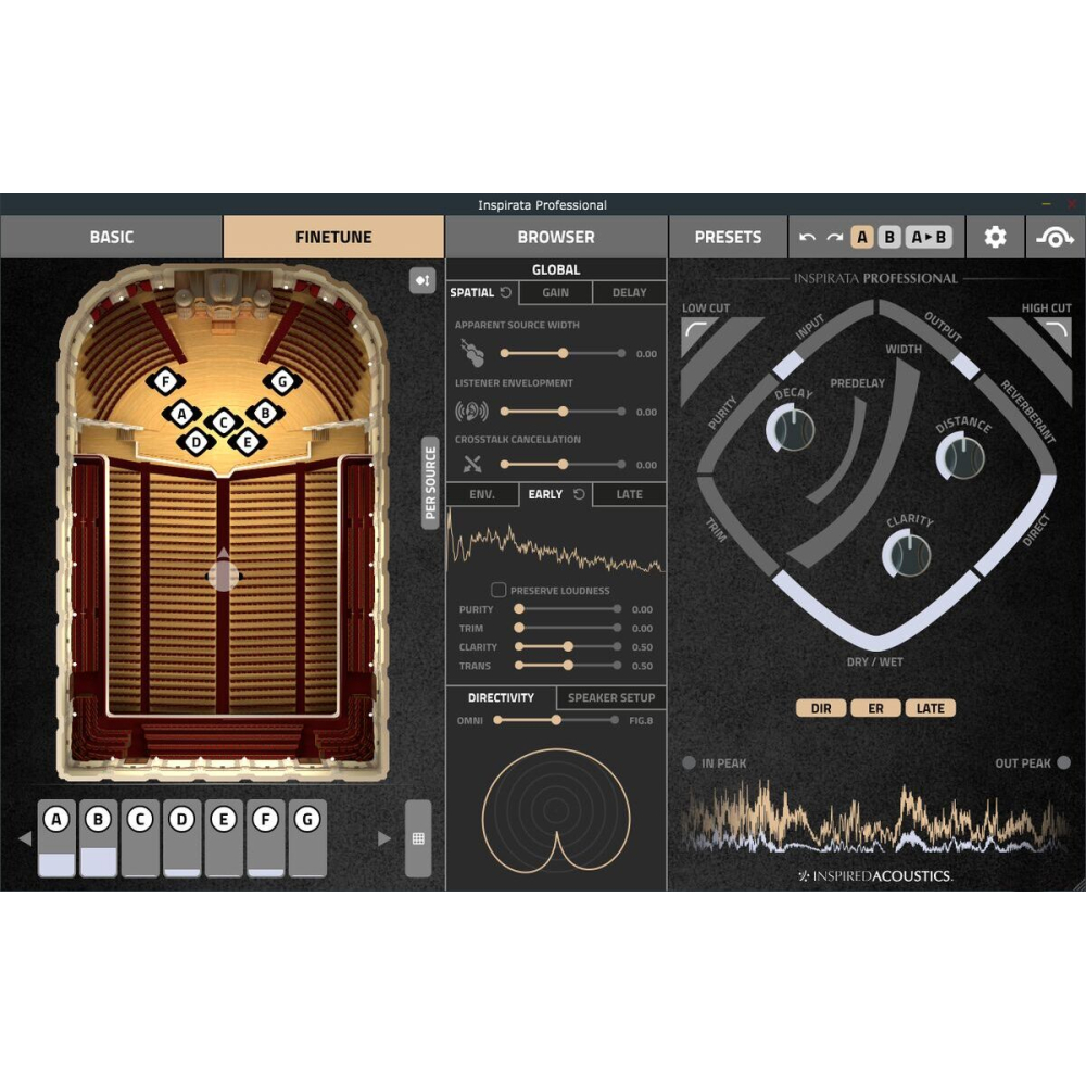 Inspired Acoustics Inspirata Professional