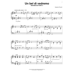 Un Bel Di Vedremo