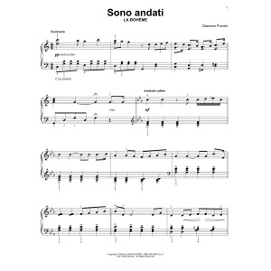 Sono andati
