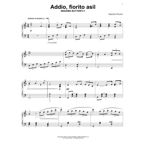 Addio, Fiorito Asil