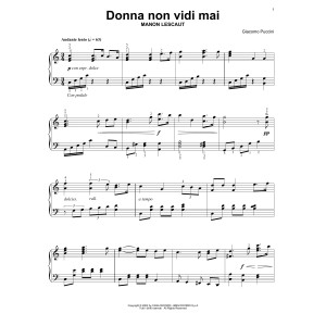 Donna Non Vidi Mai