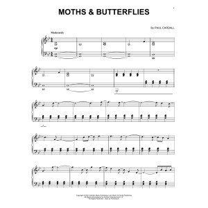Moths & Butterflies