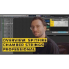 Spitfire Chamber Strings Professional