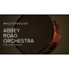 Abbey Road Orchestra: Low Percussion Professional