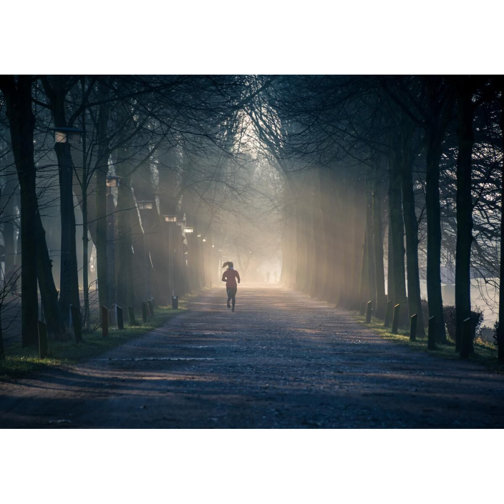 Trinz â Colours PST