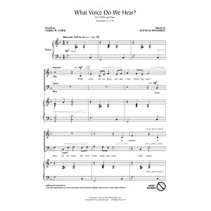 What Voice Do We Hear?