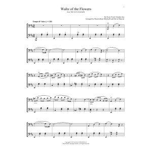 Waltz Of The Flowers (from The Nutcracker)