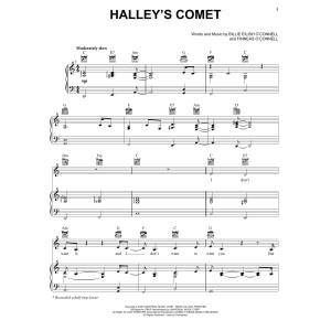 Halley's Comet