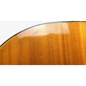 Gibson J-55 Naturel 1976