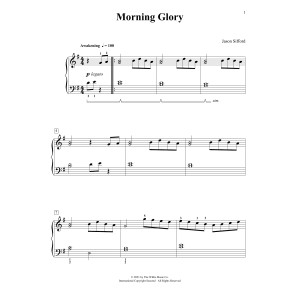 Morning Glory