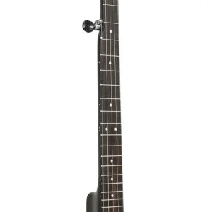 Gold Tone Ac-1