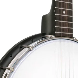 Gold Tone Ac-1