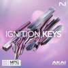 NI Ignition Keys MPC Edition