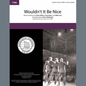 Wouldn't It Be Nice (arr. Steve Delehanty)