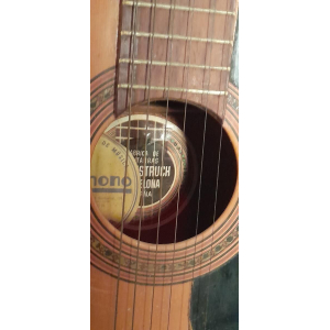 Juan Estruch Guitare classique 12 cordes