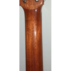 Juan Estruch 12-string classical guitar