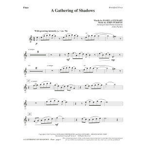 A Gathering of Shadows - Flute