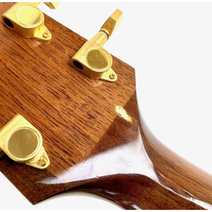 Takamine EG440SC Natural 2009