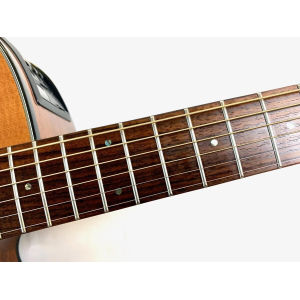 Takamine EG440SC Natural 2009