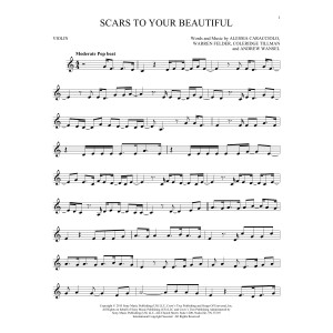 Scars To Your Beautiful