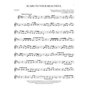 Scars To Your Beautiful