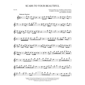 Scars To Your Beautiful