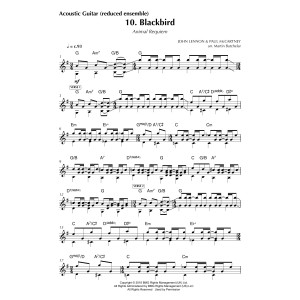 Animal Requiem - Acoustic Guitar